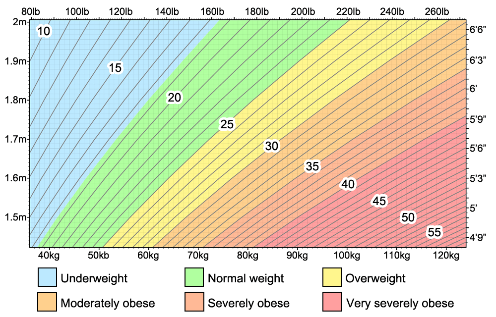 Bmi Category Chart