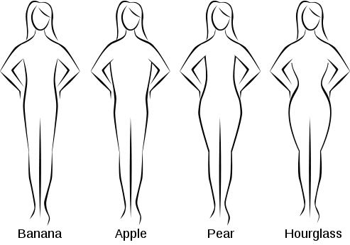 Ideal body shape