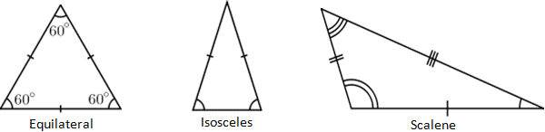 Triangle Calculator